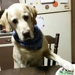 Eileen Fleishman - @fleishmaneileen - Instagram