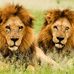Eileen Flinton - Facebook
