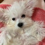 @eileen_flood1 - Instagram