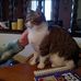 Eileen Forbes - Facebook