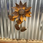 Eileen Fowler - @elf_49 - Instagram