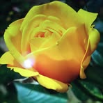 Eileen Fowler - Facebook