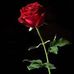 Fredrick Alin - Facebook