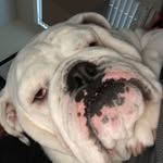 Eileen Gaffney - @egaffney0712 - Instagram