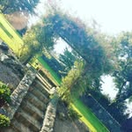 Eileen Gaffney - @eileengaffney - Instagram