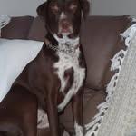 Eileen Gaffney Carroll - @gaffneycarroll - Instagram