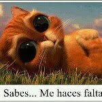 Eileen Vanessa Argel Galvan - @argeleileen - Instagram
