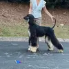 Eileen Gearhart - @eileen.gearhart - TikTok