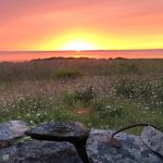 Eileen Gilbert - @eileengilbert38 - Instagram