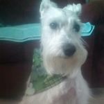 Eileen Kaufman Gilbert - @eileen.k.gilbert - Instagram
