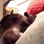 Eileen R Glenn - @eileen.r.glenn - Instagram
