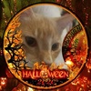 eileengoddard555 - @eileengoddard555 - TikTok