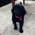 Eileen Goodyear - @wegoodyear - Instagram