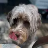eileengoodyear627 - @eileengoodyear627 - TikTok