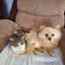 Eileen Guerin - Facebook