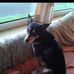 Eileen Hackett - Facebook