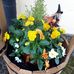 Eileen Hackett - Facebook