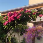 eileen hackett - @hackett1333 - Instagram
