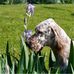 Eileen Hackett - Facebook