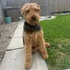 Eileen OHagan - @eileenohagan0 - TikTok