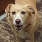 Eileen Hale - @eileen.hale.5 - Instagram