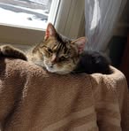 Eileen Hamilton - Facebook