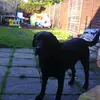 Eileen Hamilton - @eileenhamilton1 - TikTok