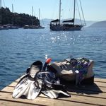 Eileen Hamilton - @eileenhamilton70 - Instagram