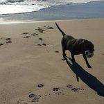 Eileen Hamlin - @hammie719 - Instagram