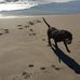 Eileen Hamlin - Facebook