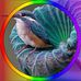 Eileen Hamann - Facebook
