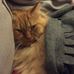 Eileen Letestu-hanks - Facebook
