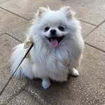 Eileen Hanson - @eilee_nhanson - Instagram