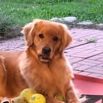 Eileen Hanson Bohn - @hansoneileen - Instagram