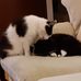 Eileen Harber - Facebook
