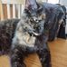 Eileen Harding - Facebook