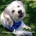 Eileen Harding - Facebook