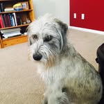 Eileen - @eileen_harmon - Instagram