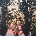 Eileen Harrell - @harrelleileen - Instagram