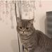 Ellen Harrell - Facebook