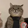 Eileen Harris - @eileen.harris1 - TikTok