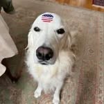 Eileen Harris - @eileenharris144 - Instagram
