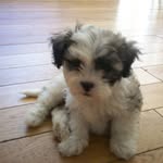 Eileen Harris - @eileenharris306 - Instagram
