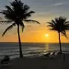 Eileen Harris - @eileen.harris01 - TikTok