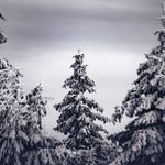 Eileen Harris - @eileen.harris.777701 - Instagram