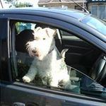 Eileen Hart - @addie.hart1 - Instagram
