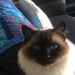 Eileen Hart - @eileenhart6 - Instagram