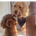 Eileen  Harte - @eileeneharte - Instagram