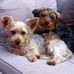 Eileen Harvey - Facebook