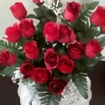 Eileen Harvey - @eileenharvey49 - Instagram